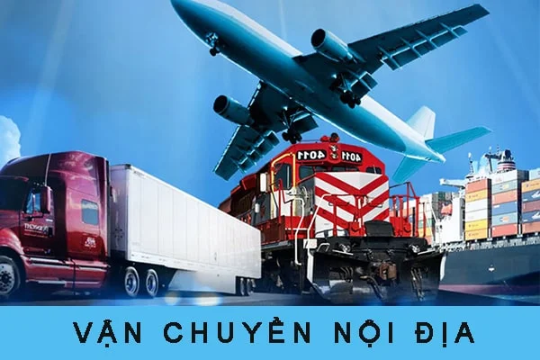 Vận Chuyển Hàng Hóa Thanh Nhã – Công Ty TNHH Thương Mại Dịch Vụ Vận Tải Và Chuyển Phát Nhanh Thanh Nhã