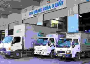 Vận Tải Delta – Công Ty Cổ Phần Quốc Tế Delta
