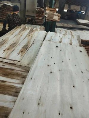 Ván ép Huy Sơn Thịnh – Công Ty TNHH Huy Sơn Thịnh