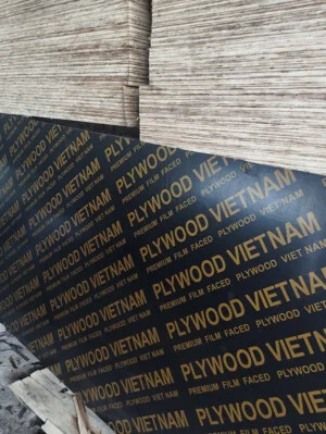 Ván ép Huy Sơn Thịnh – Công Ty TNHH Huy Sơn Thịnh