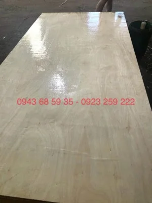 Ván ép Quang Thịnh Phát – Công Ty TNHH GS Quang Thịnh Phát