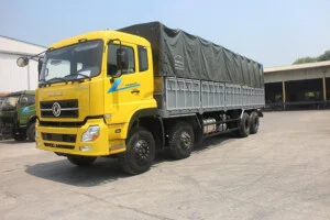 Công Ty TNHH Một Thành Viên Dịch Vụ Thương Mại Anh Ngọc Phát