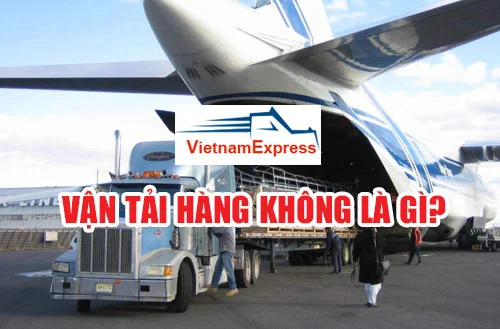 Vận Tải Việt Nam Express – Công Ty CP Dịch Vụ Vận Tải Việt Nam Express