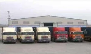 Công Ty TNHH MTV Thương Mại Và Dịch Vụ Tín Khải