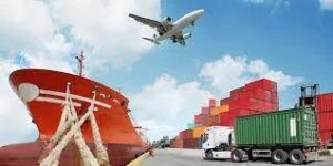 FAN Logistics – Công Ty TNHH Thương Mại FAN VN