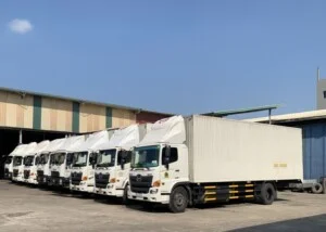 Vận Tải Việt Hải – Công Ty TNHH Dịch Vụ Thương Mại Và Vận Tải Việt Hải