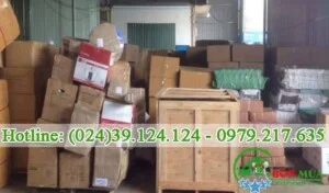 Công Ty TNHH Thương Mại Và Dịch Vụ Tổng Hợp Bốn Mùa