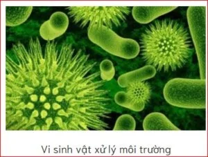 Công Ty Cổ Phần Dầu Khí Hồng Hà