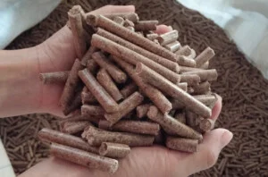 Chất Đốt Công Nghiệp Hoài Phương – Công Ty TNHH Đầu Tư Và Xây Dựng Hoài Phương