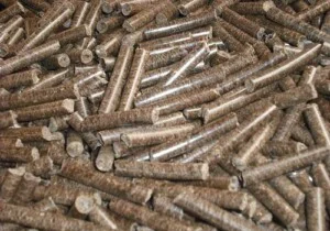 Công Ty CP Xuất Nhập Khẩu Sen Hồ