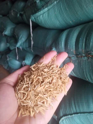 Đất Sạch Tiền Giang – Cơ Sở Sản Xuất Vạn Phát