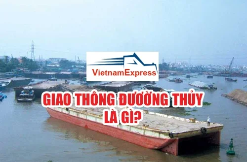 Vận Tải Việt Nam Express – Công Ty CP Dịch Vụ Vận Tải Việt Nam Express