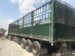 Vận Tải Huệ Duy – Công Ty TNHH Một Thành Viên Thương Mại Giao Nhận Vận Tải Huệ Duy