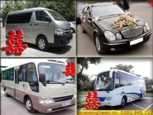Công Ty TNHH Du Lịch Thương Mại Đất Việt