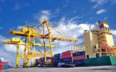 Xuất Nhập Khẩu BigLog – Công Ty TNHH Giải Pháp XNK Và Vận Tải Quốc Tế BigLog