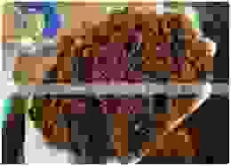 Xơ Dừa Coco Coir Global   – Công Ty TNHH Coco Coir Global