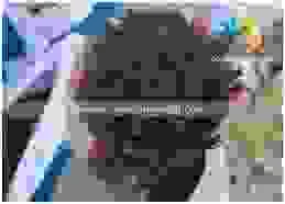 Xơ Dừa Coco Coir Global   – Công Ty TNHH Coco Coir Global