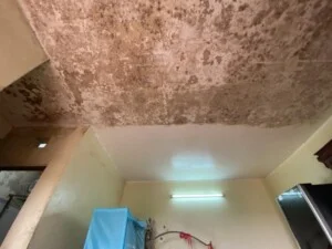 Vệ Sinh Công Nghiệp Hải Dương – Công Ty TNHH Dịch Vụ Thương Mại Khoa Phát