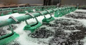 Hệ Thống Xử Lý Nước Thải Việt Phát – Công Ty TNHH Thiết Bị Máy Và Công Nghệ Môi Trường Việt Phát