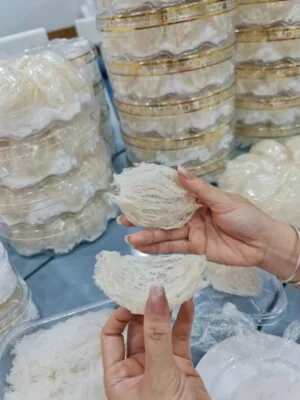 Yến Sào Tam Long – Công Ty TNHH MTV Mỹ Nghệ Tam Long