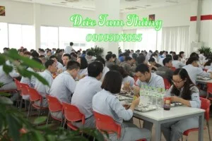 Chi Nhánh – Công Ty TNHH Một Thành Viên Đức Tam Thăng