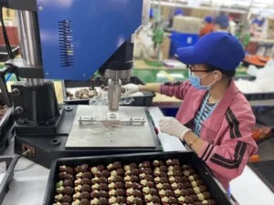 Công Ty TNHH ORIENT MARK Việt Nam
