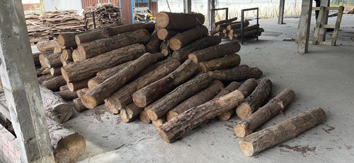 Gỗ Dona – Công Ty Cổ Phần Gỗ Dona