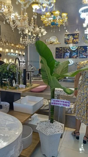 Korest Long Hải
