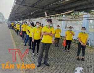 Công Ty TNHH XD TM DV Cung ứng Lao Động Tấn Vàng