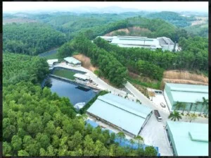 Công Ty TNHH Môi Trường Phú Minh Vina