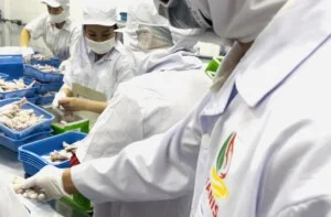 Công Ty TNHH Xuất Nhập Khẩu TANIS