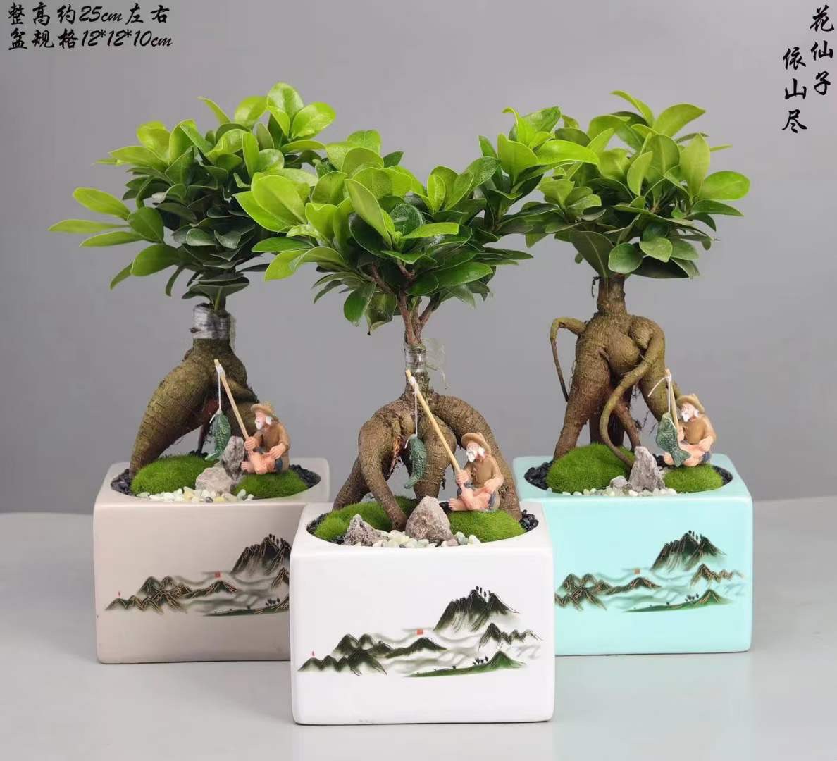 Cây Xanh Miền Bắc