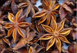 Công Ty TNHH SX Và Thương Mại Trường Xuân