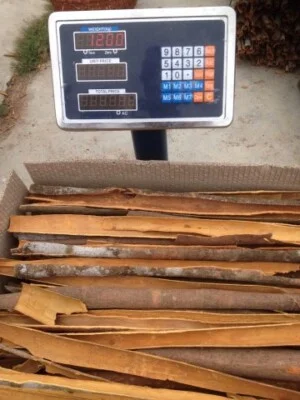 Công Ty TNHH SX Và Thương Mại Trường Xuân