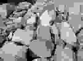 Công Ty Cổ Phần Trung Thành