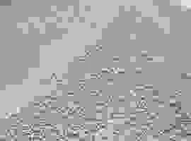 Công Ty Cổ Phần Trung Thành