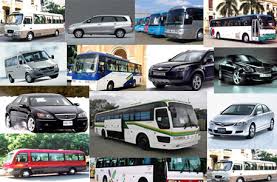 Công Ty TNHH MTV Du Lịch Thanh Niên Việt