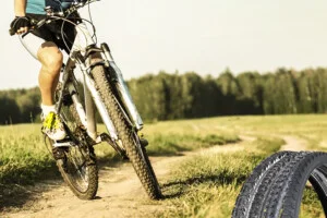 Cao Su Miền Nam – Công Ty Cổ Phần Công Nghiệp Cao Su Miền Nam