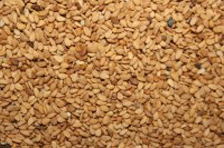 Công Ty TNHH Quốc Tế Vinapas Việt Nam