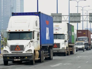 Công Ty TNHH Quốc Tế Vinapas Việt Nam
