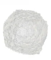 Công Ty TNHH Nhật Mỹ Phát