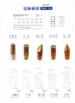 Công Ty TNHH Thương Mại Dịch Vụ Thái Cơ