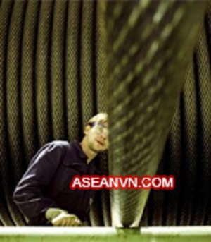 Dây Cáp Thép Kinh Tế Đông Nam á – Công Ty Cổ Phần Phát Triển Kinh Tế Đông Nam á