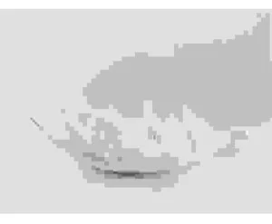 Công Ty Cổ Phần Trọng Tín á Châu