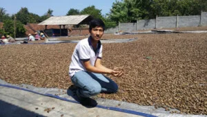 Công Ty TNHH Thương Mại Xuất Nhập Khẩu Việt Nông