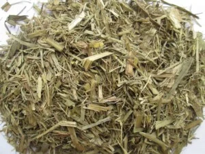 Công Ty Cổ Phần Thương Mại Thủy Nguyên