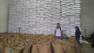 Công Ty TNHH Thương Mại Xuất Nhập Khẩu Việt Nông