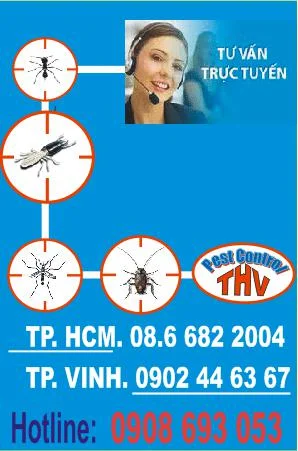 Công Ty TNHH Thương Mại Dịch Vụ Tư Vấn Tân Hùng Việt