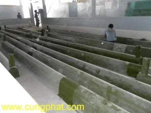 Công Ty TNHH Cung Phát