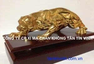 Công Ty Cổ Phần Xi Mạ Chân Không Tân Tín Vinh